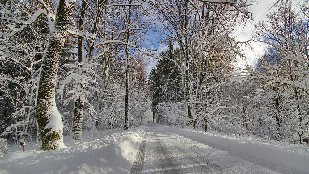 Когда блеснуло солнце
