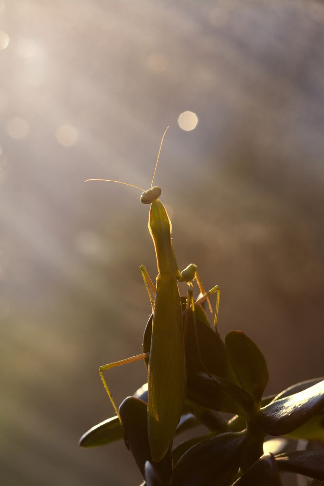 Photograph by Дарья Медведева