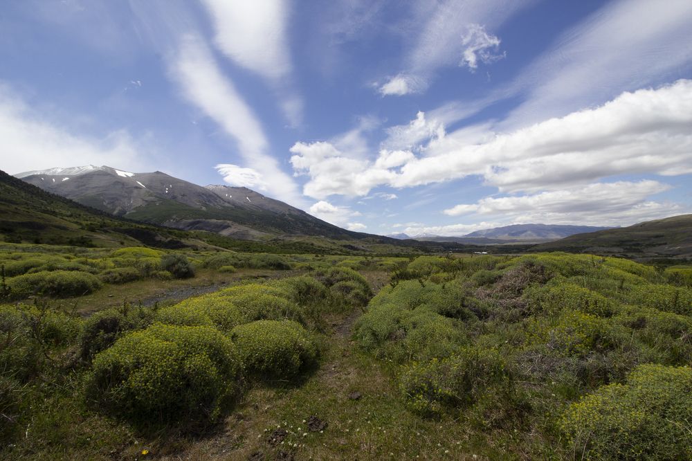 Torres del Paine