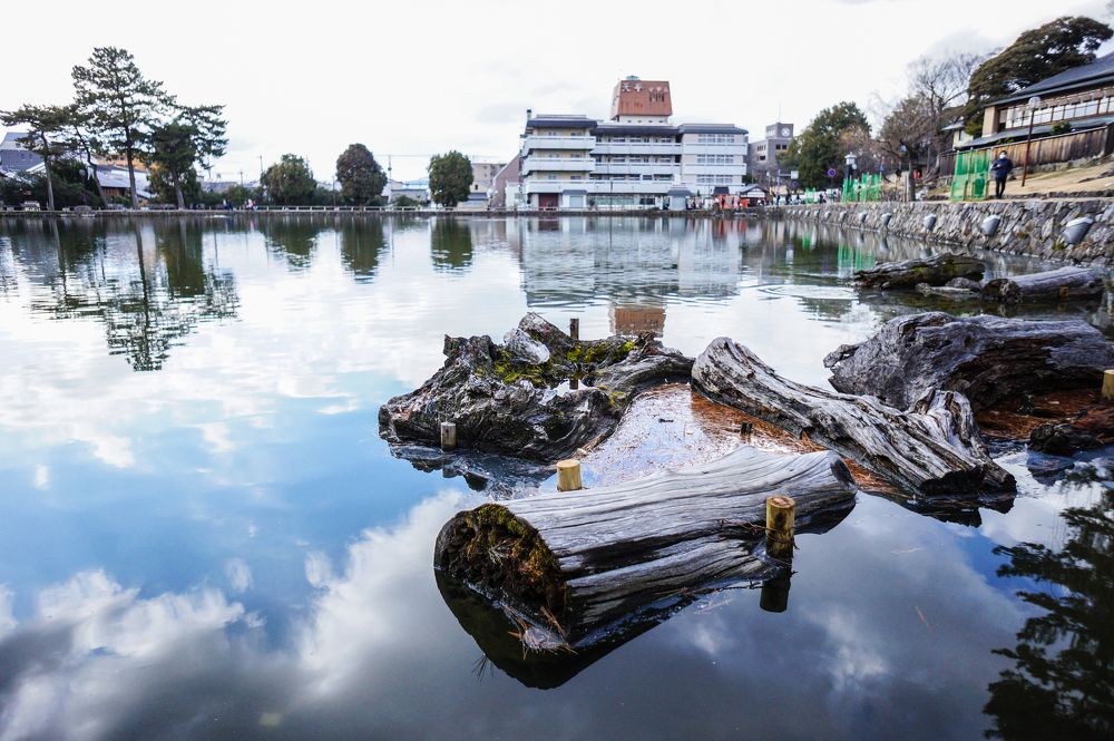 Nara`s Reflection