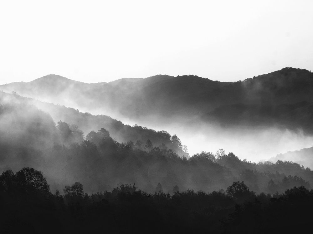 Foggy Hills