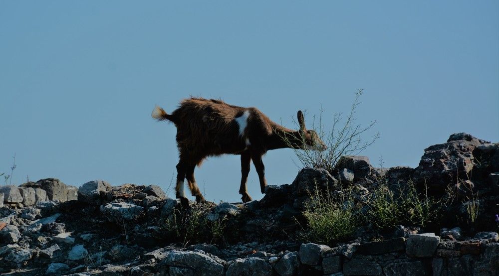 Photograph by Naim Iseni