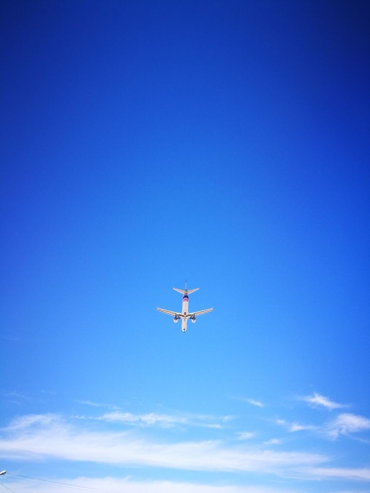 Свободна внутри нас