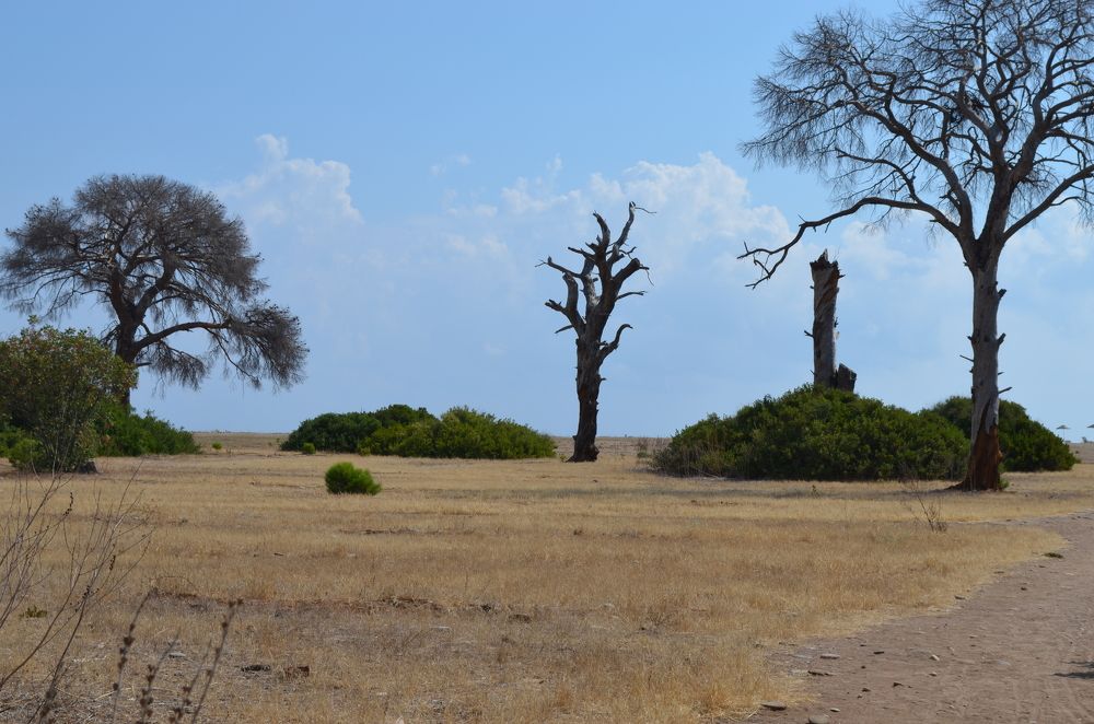 Самотність