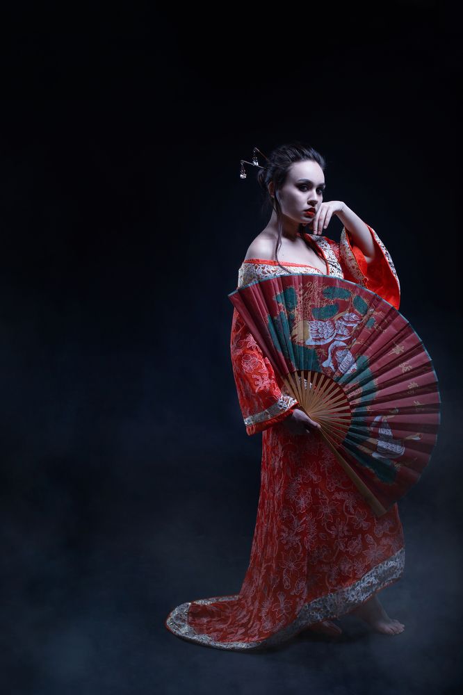 Мемуары гейши