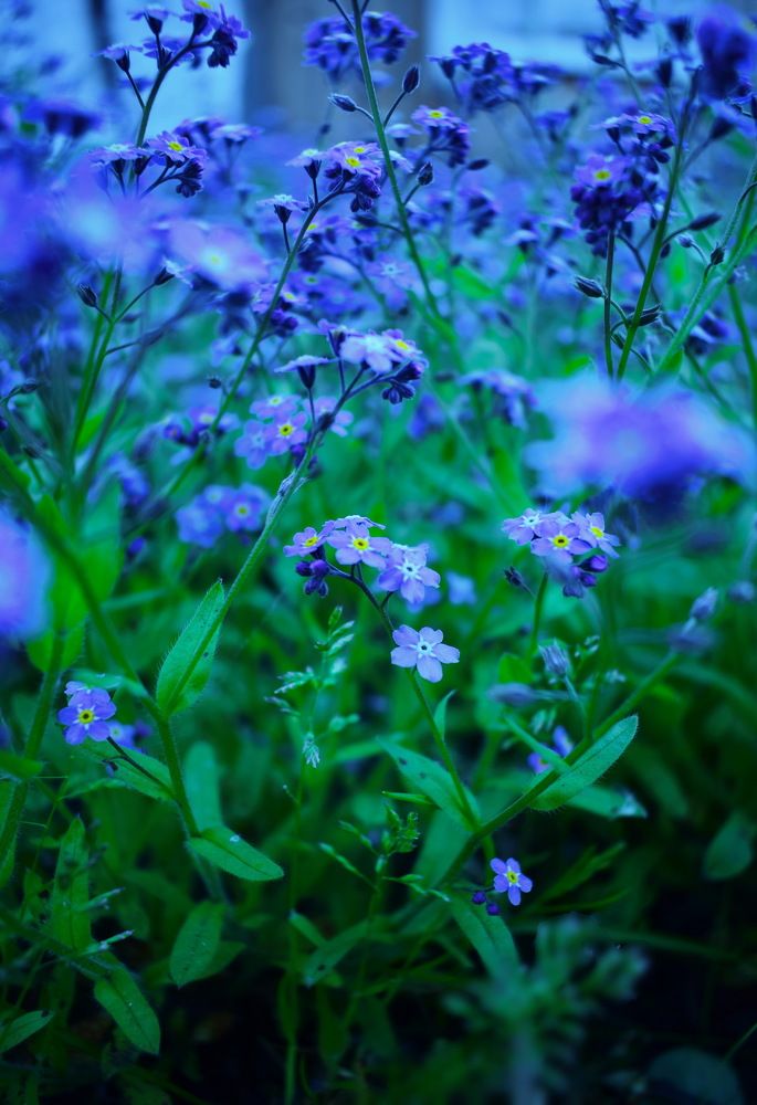 Photograph by Кристина