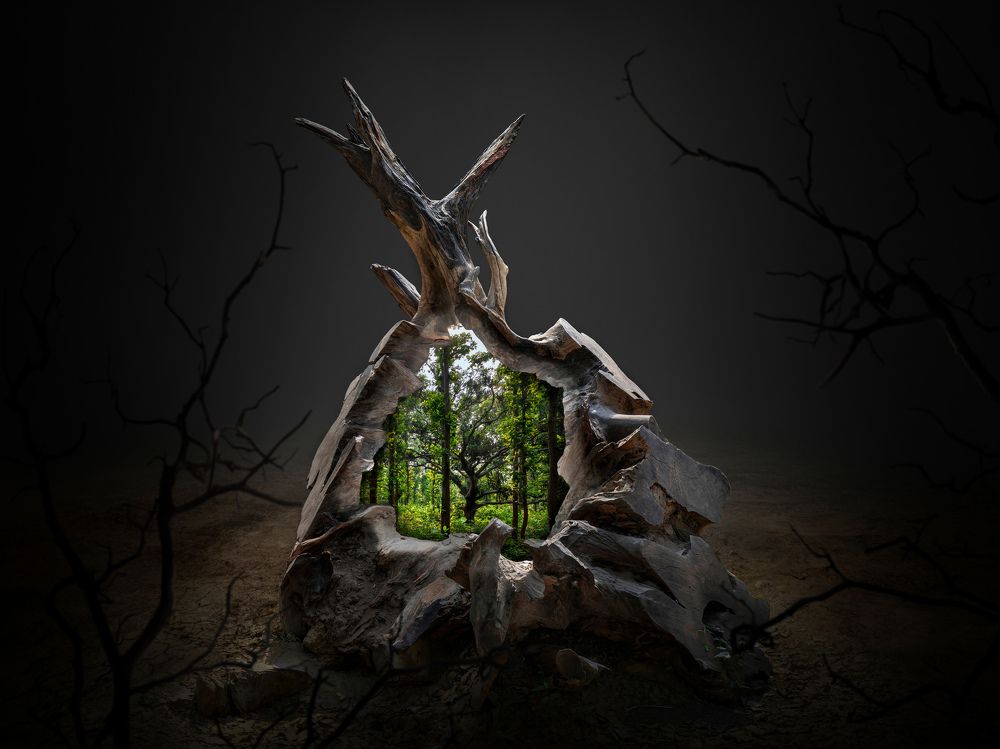 What We Save, Saves Us