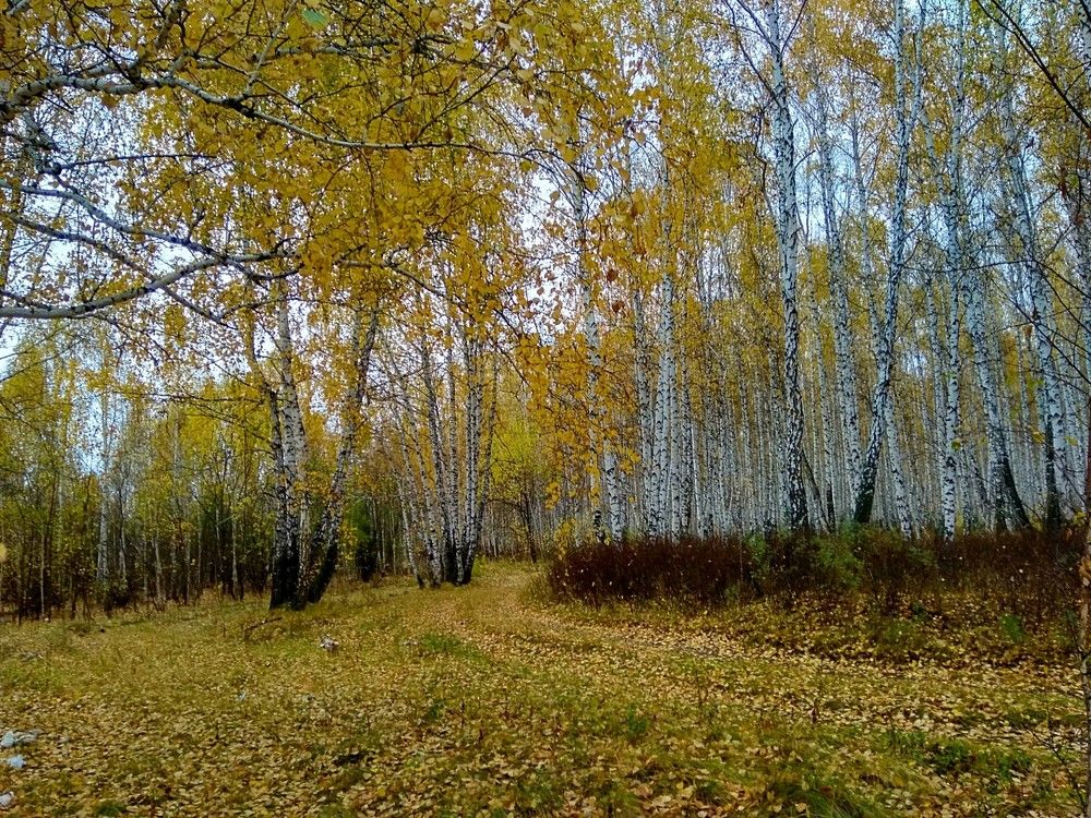 Осень Золотая - Королева бала ...