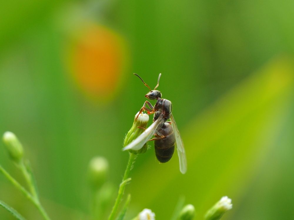 There, beyond the horizon ...