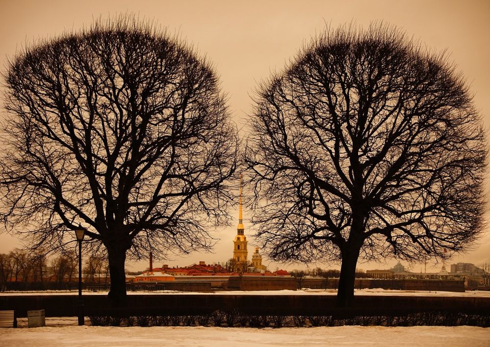 Лик Петербурга ....