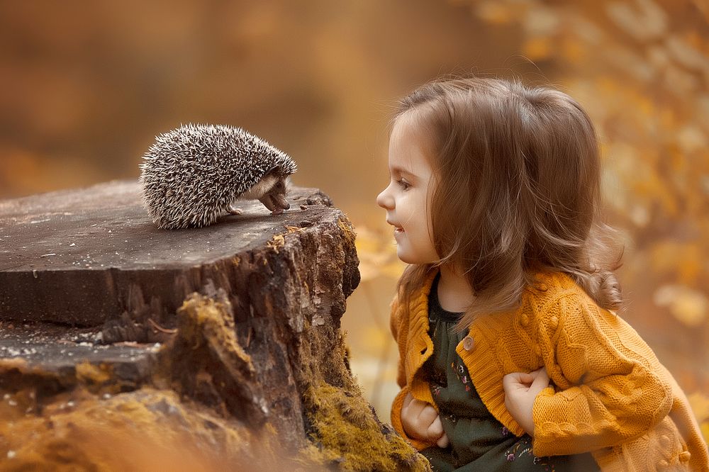 чудесная встреча