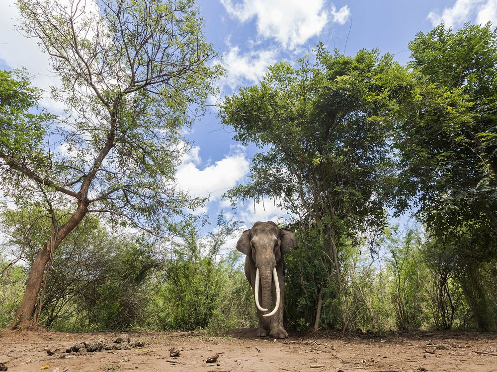 This is My Territory