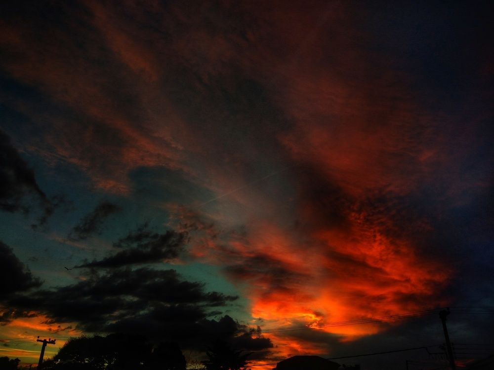 The sunset