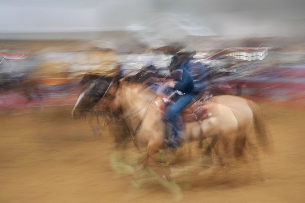 Horses in the race 4