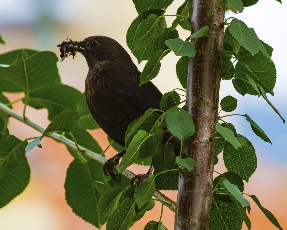 Photograph by MARINA FADEEVA