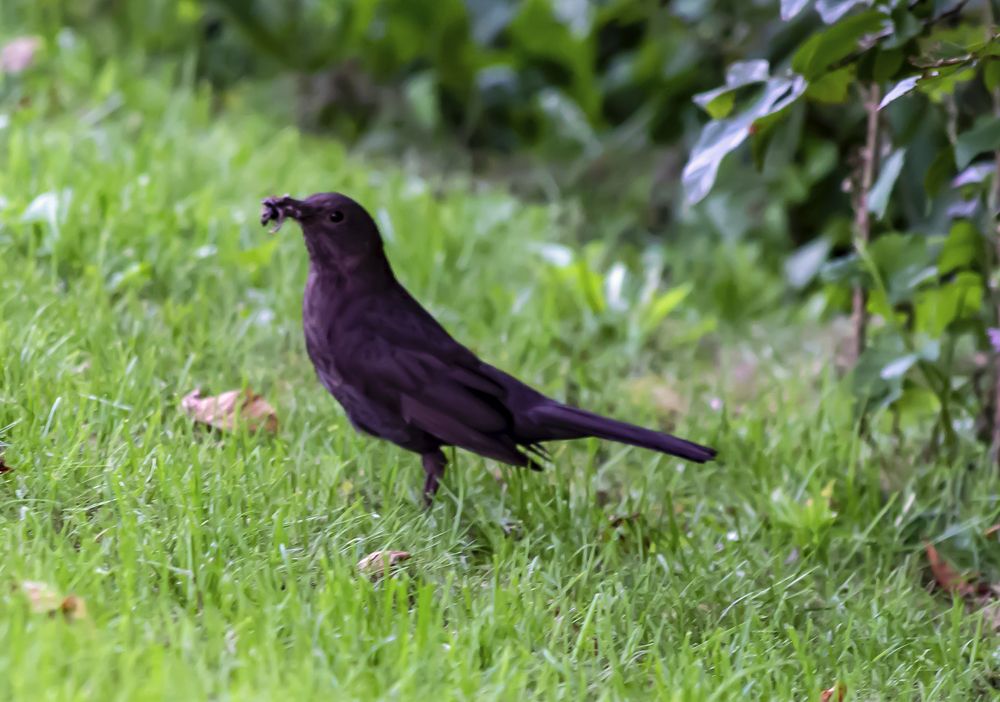 Photograph by MARINA FADEEVA