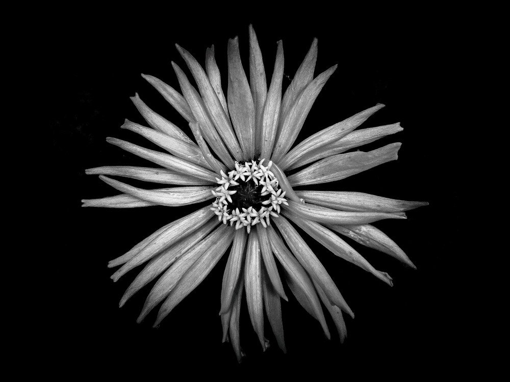 Photograph by Влад Богаткин