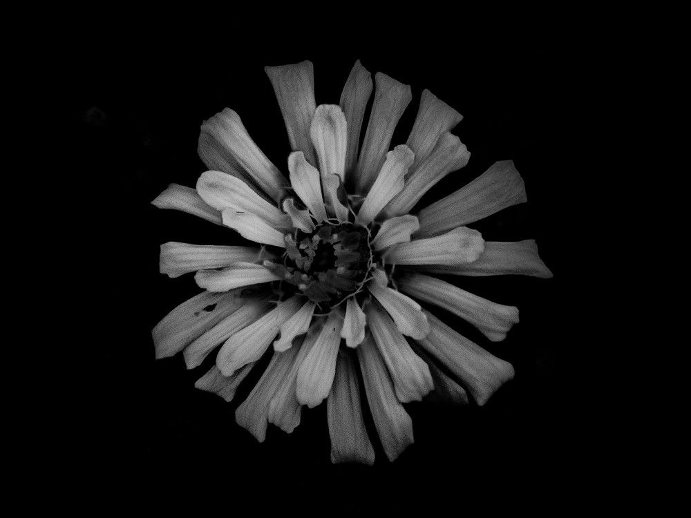 Photograph by Влад Богаткин