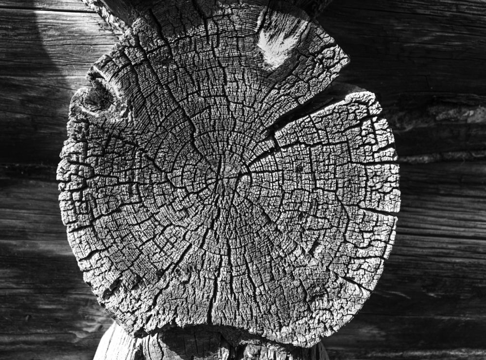 Photograph by MARINA FADEEVA