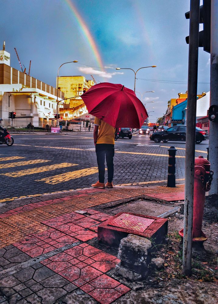 Color of life