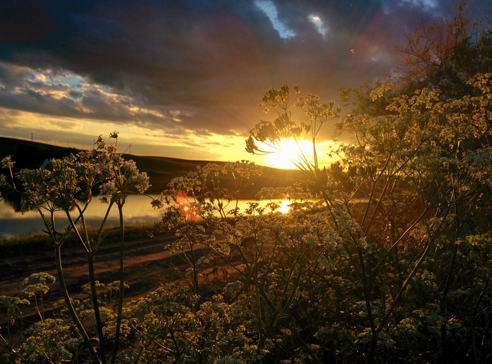 В сто сорок солнц закат пылал...