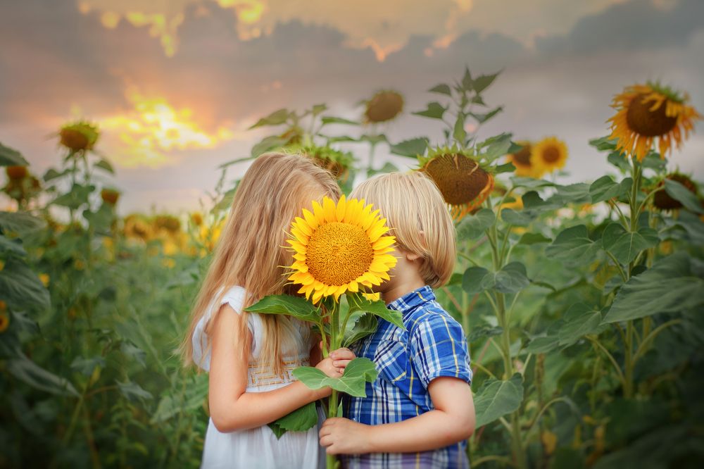 Photograph by Оксана Новицкая