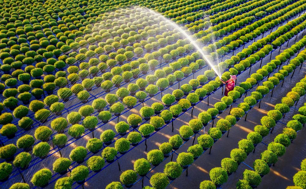 Watering flower gardens