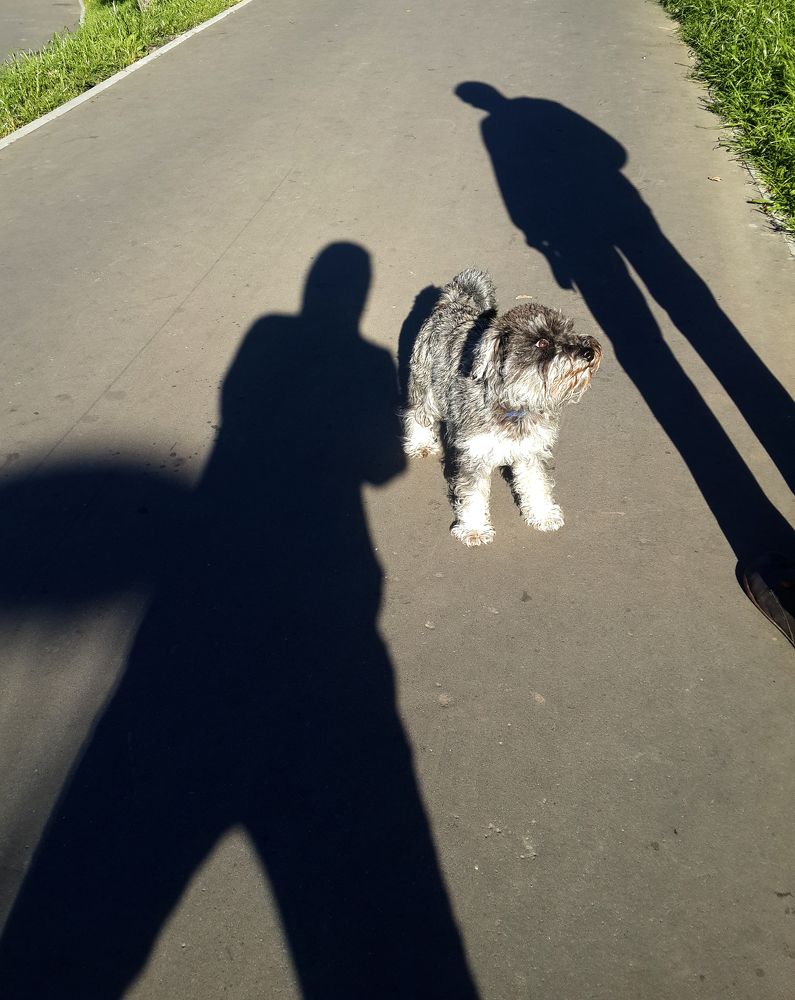 Инопланетяне в городе
