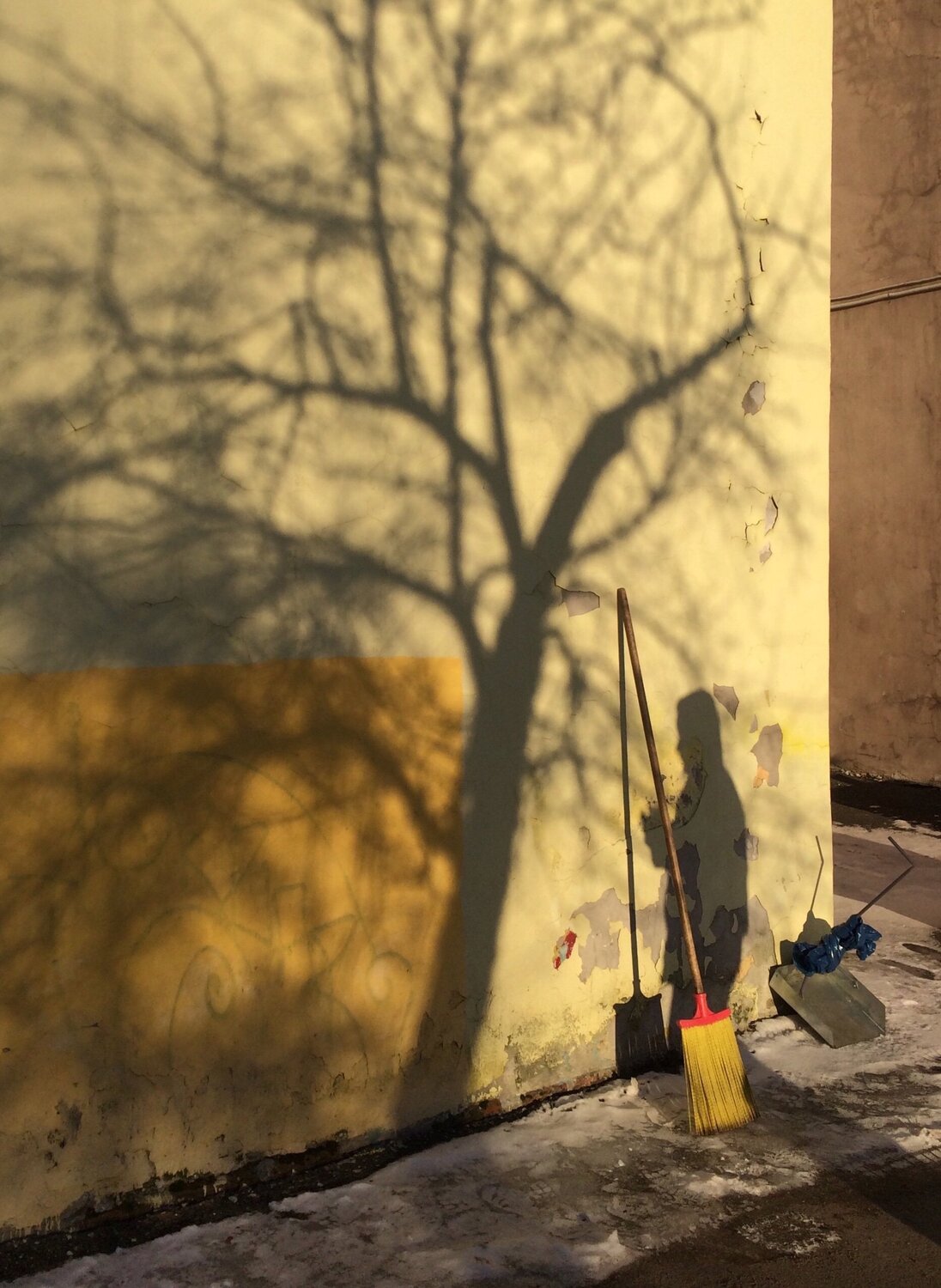Tree shadow/ Тень дерева