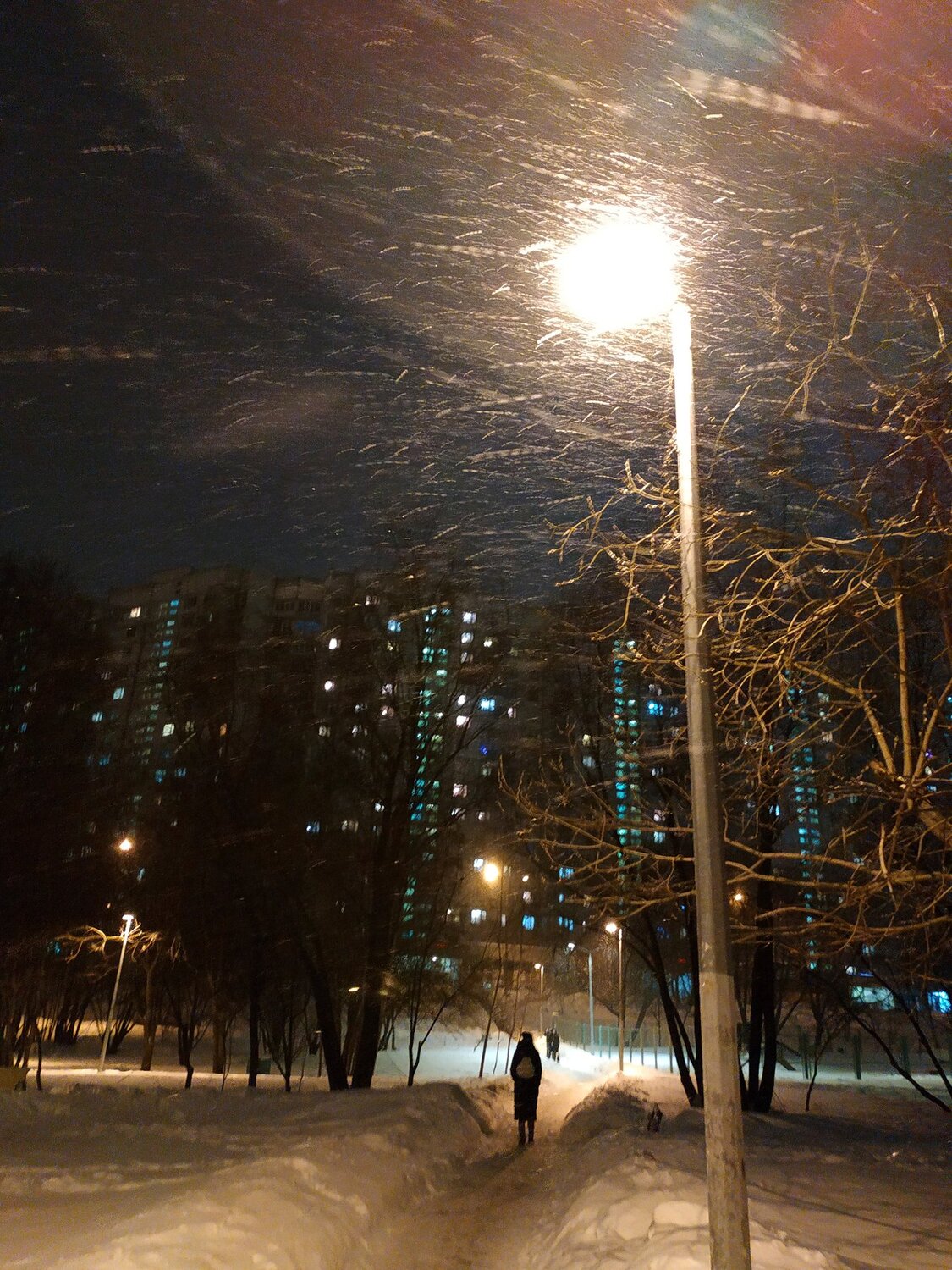 Февральская метель. Пора домой.
