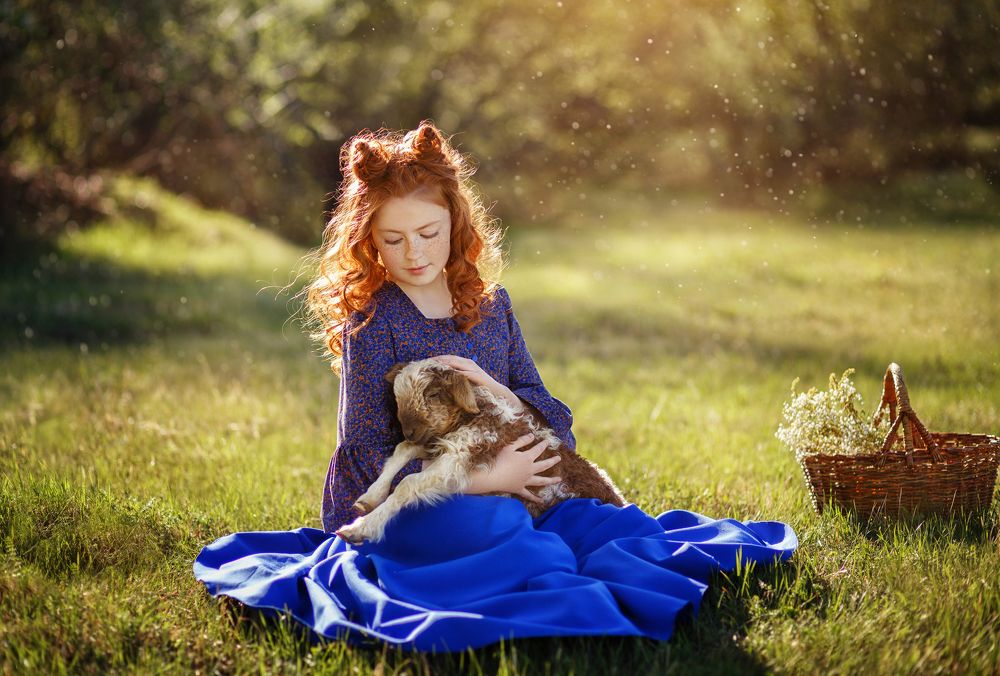 Лето на ферме