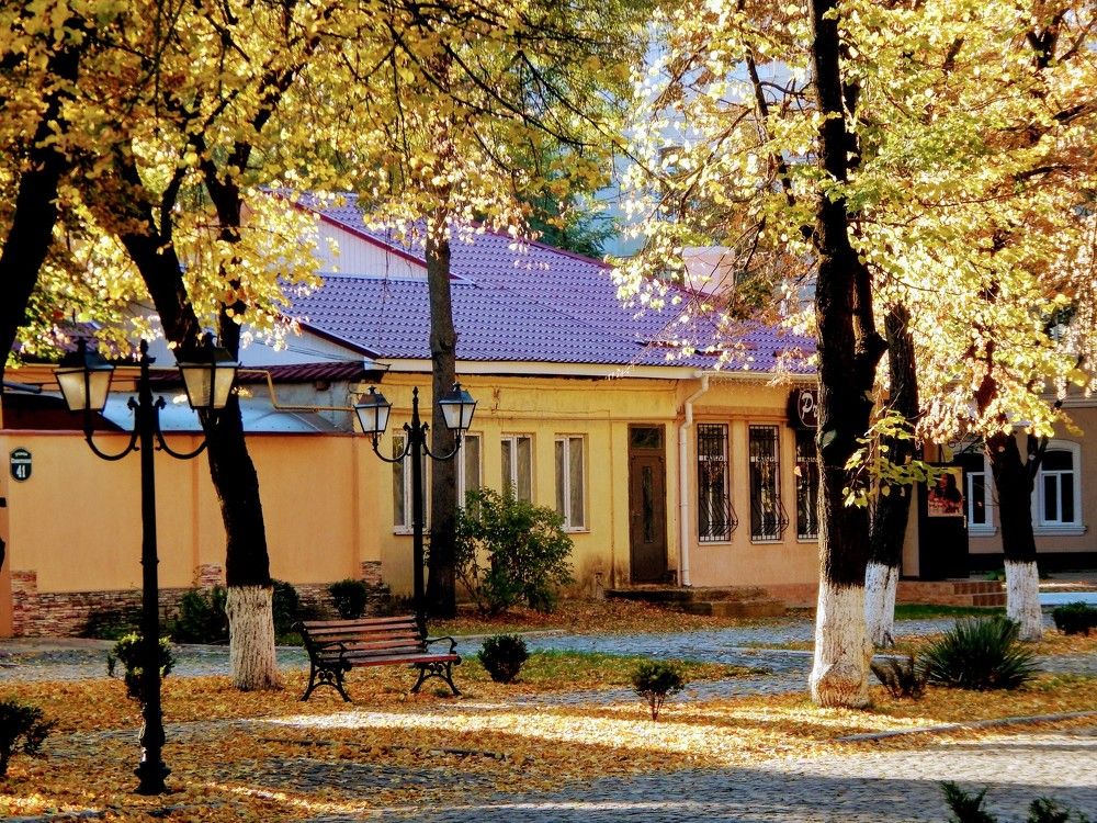 Photograph by Алена