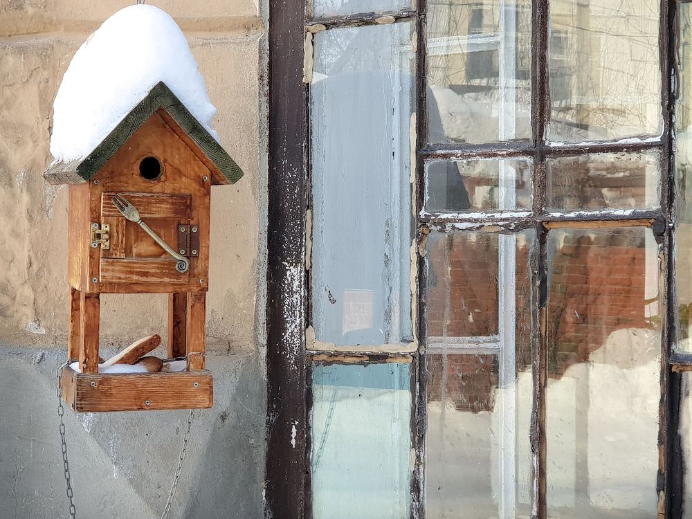 Photograph by Алёна Рындовская