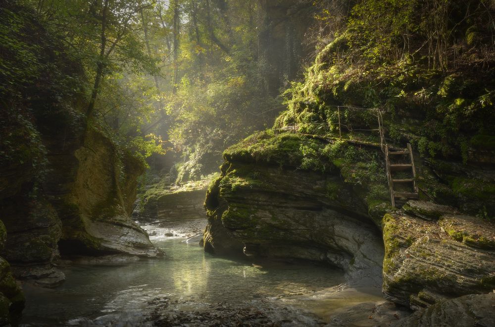 В лесах Краснодарского края