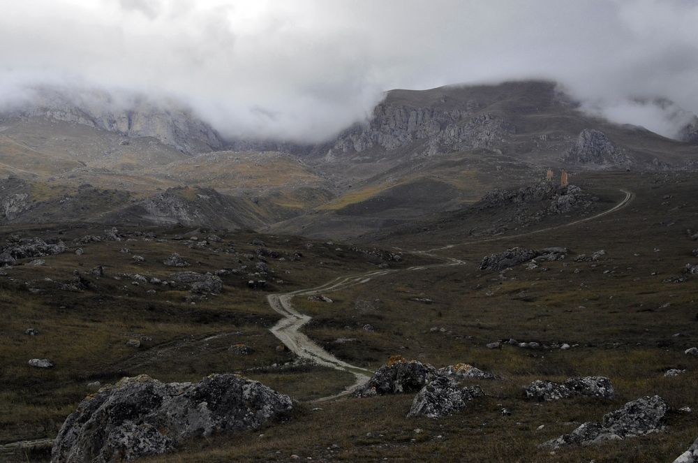 Photograph by Шубина Галина