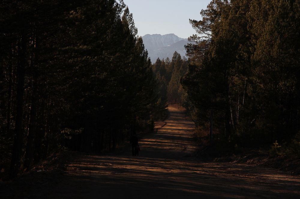 Photograph by Наталья