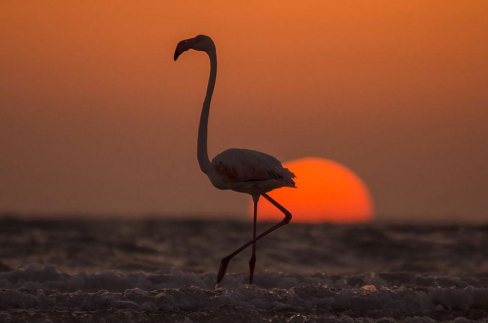 The Sundown Walk