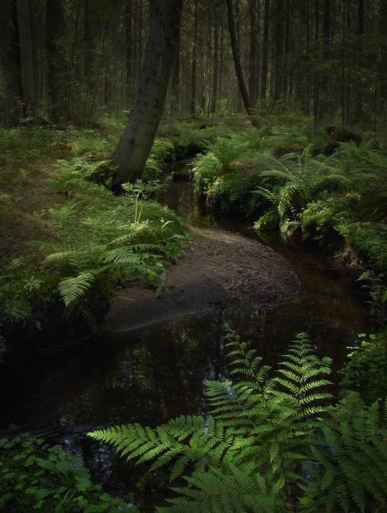 Чудесный ручей