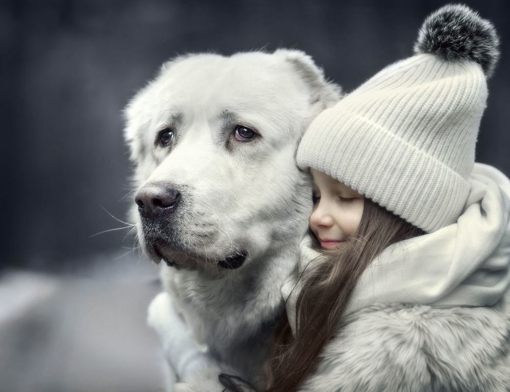 Photograph by Елена Козлова