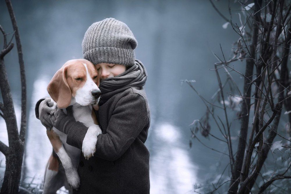 Верный друг