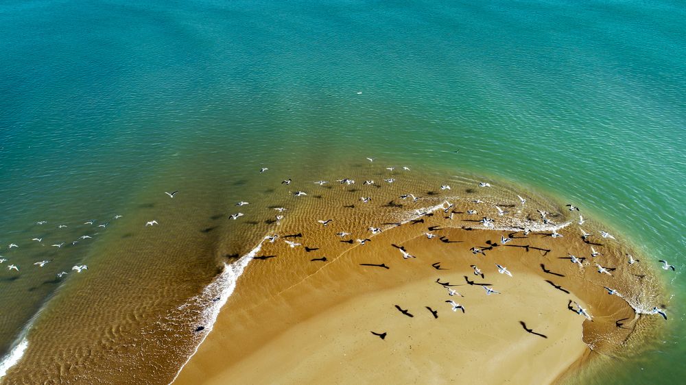 Chabahar port's beach