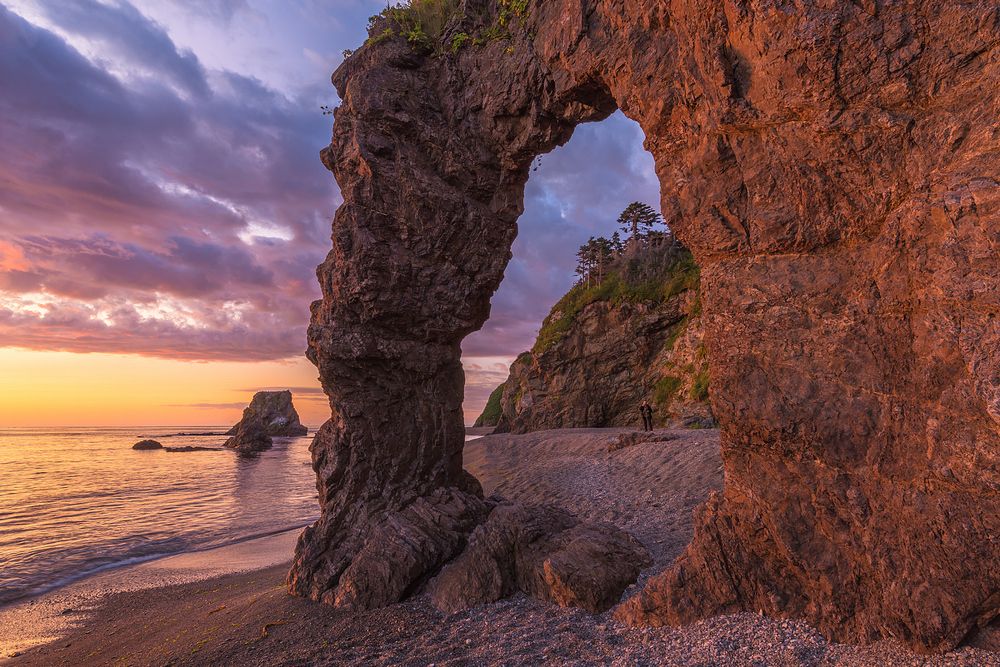 Нога сахалинского тролля