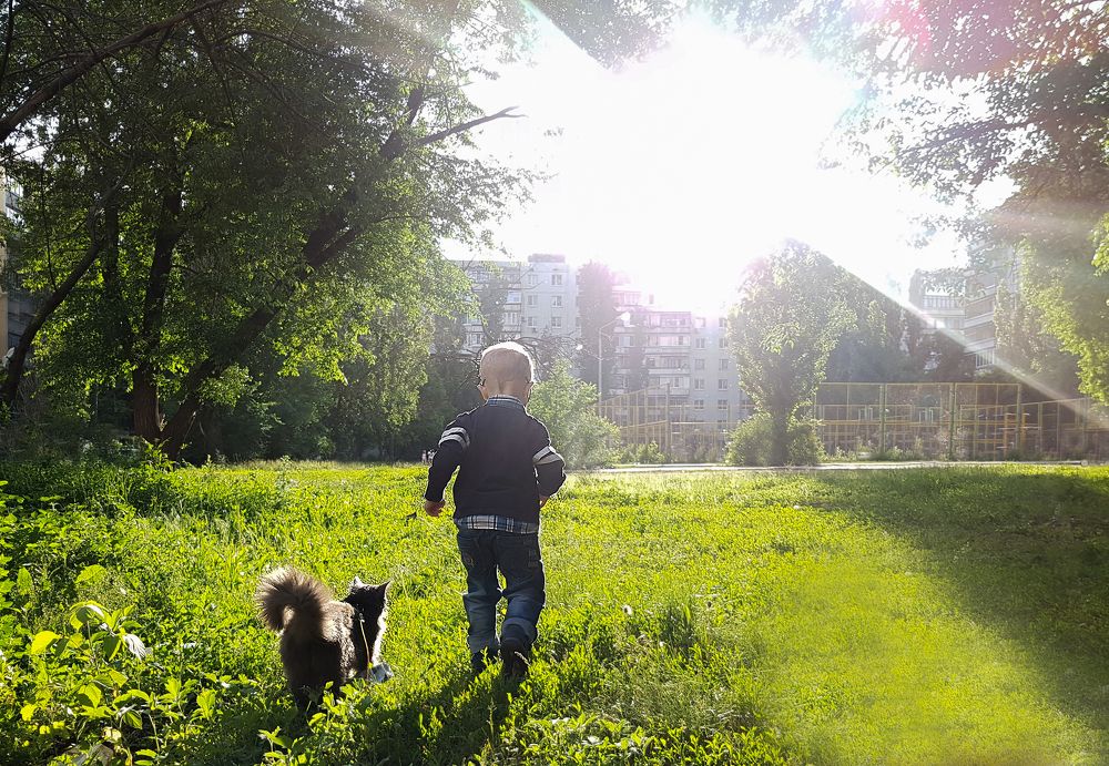 Руслан кошка