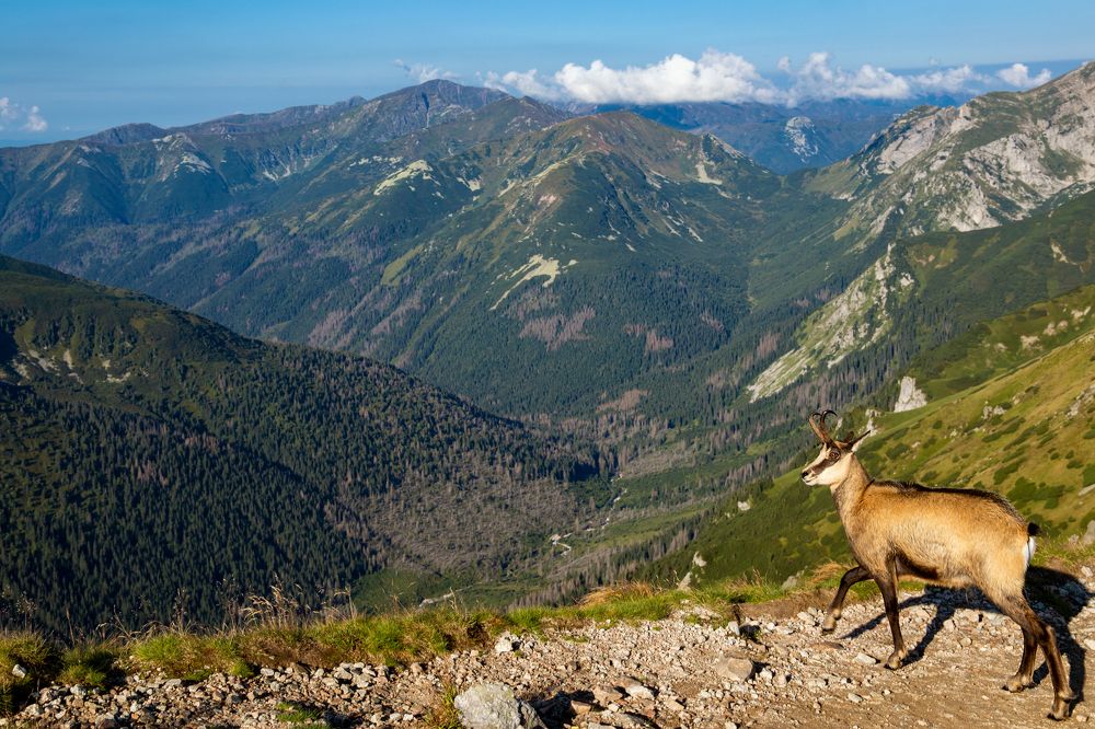 Photograph by Вера Лазарева