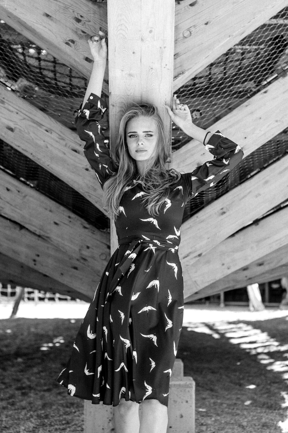 Photo #3050318