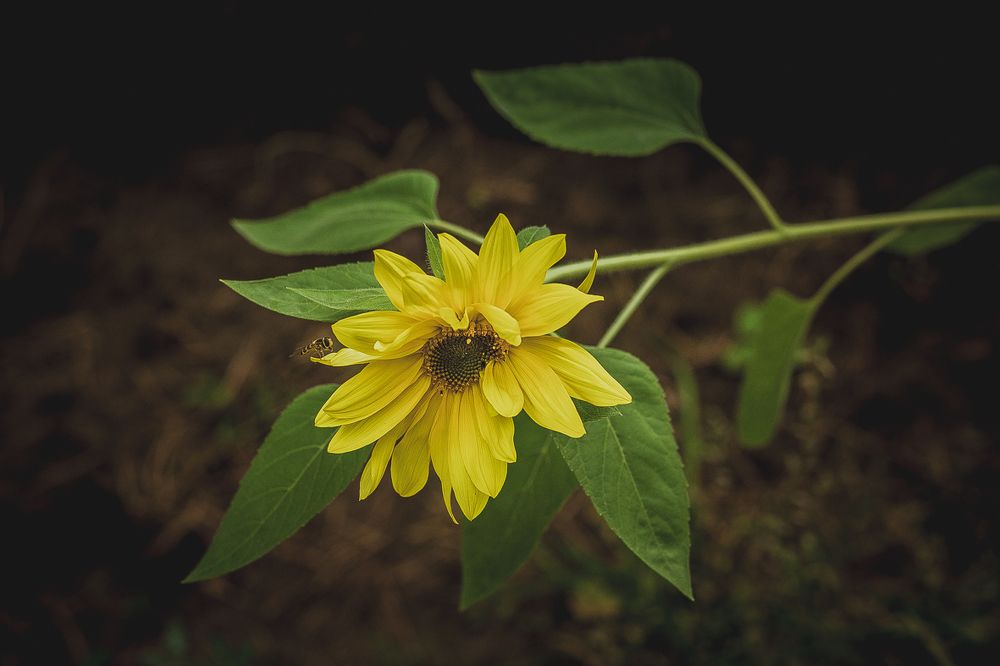 Фотография автора Оркина Ксения