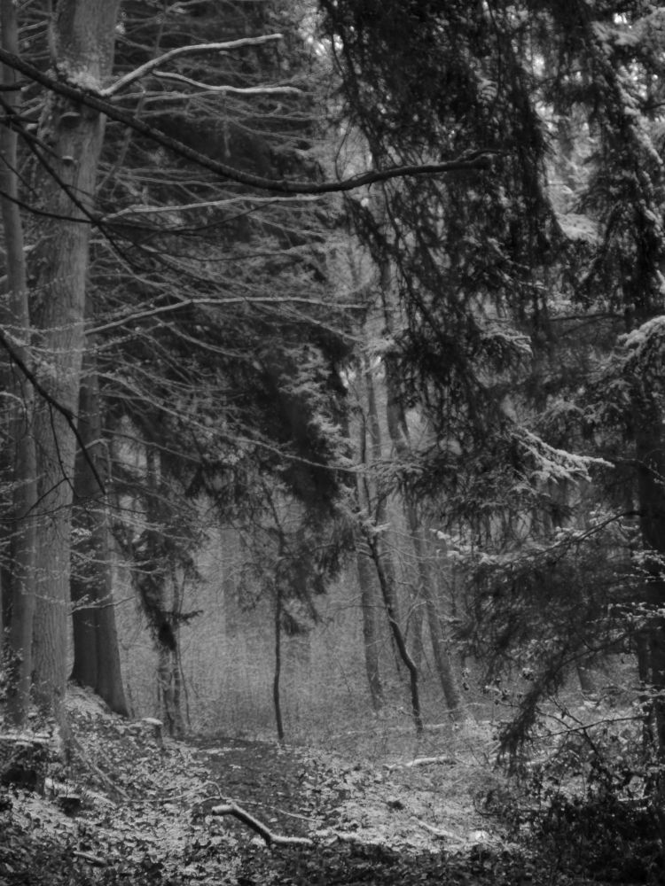 silent
