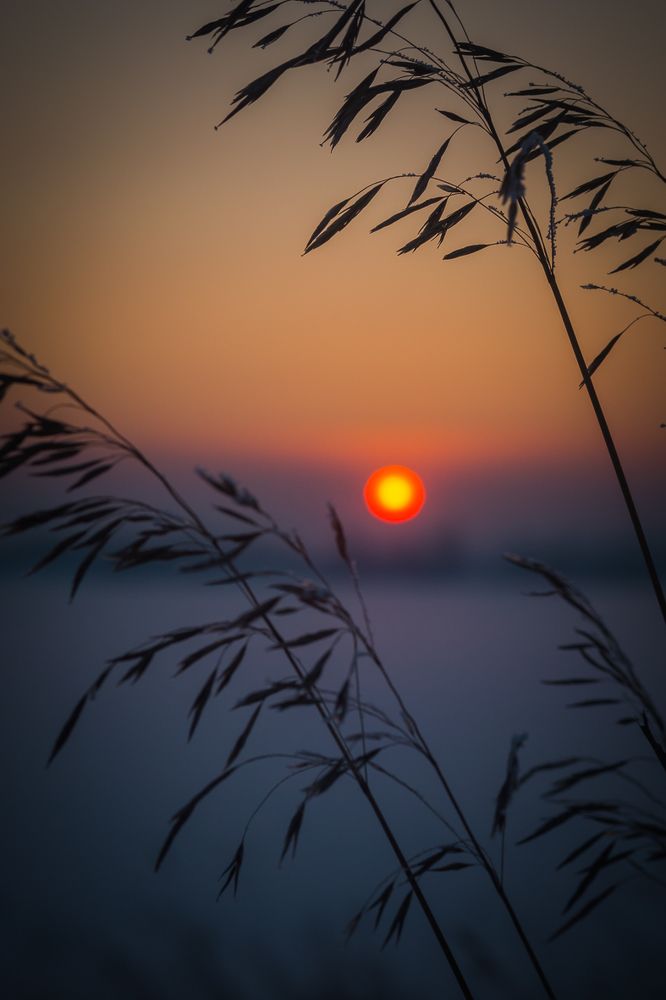 Фотография автора Оркина Ксения