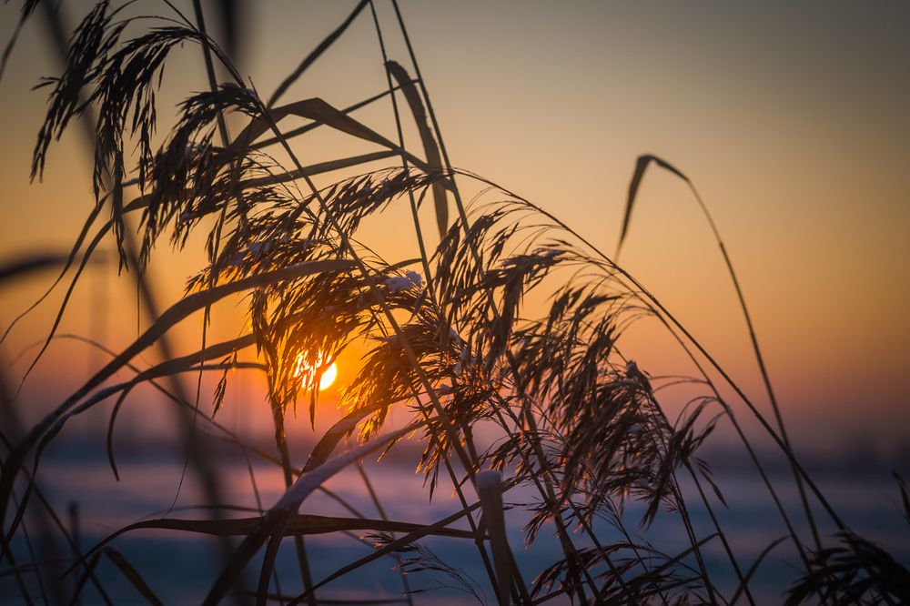 Фотография автора Оркина Ксения