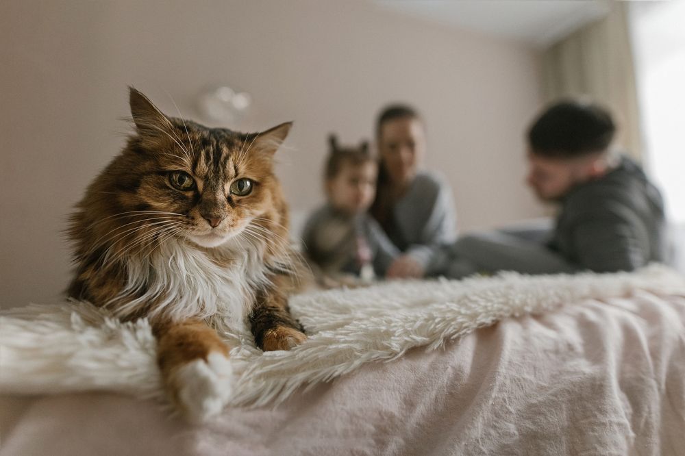 Photograph by Ольга Грей